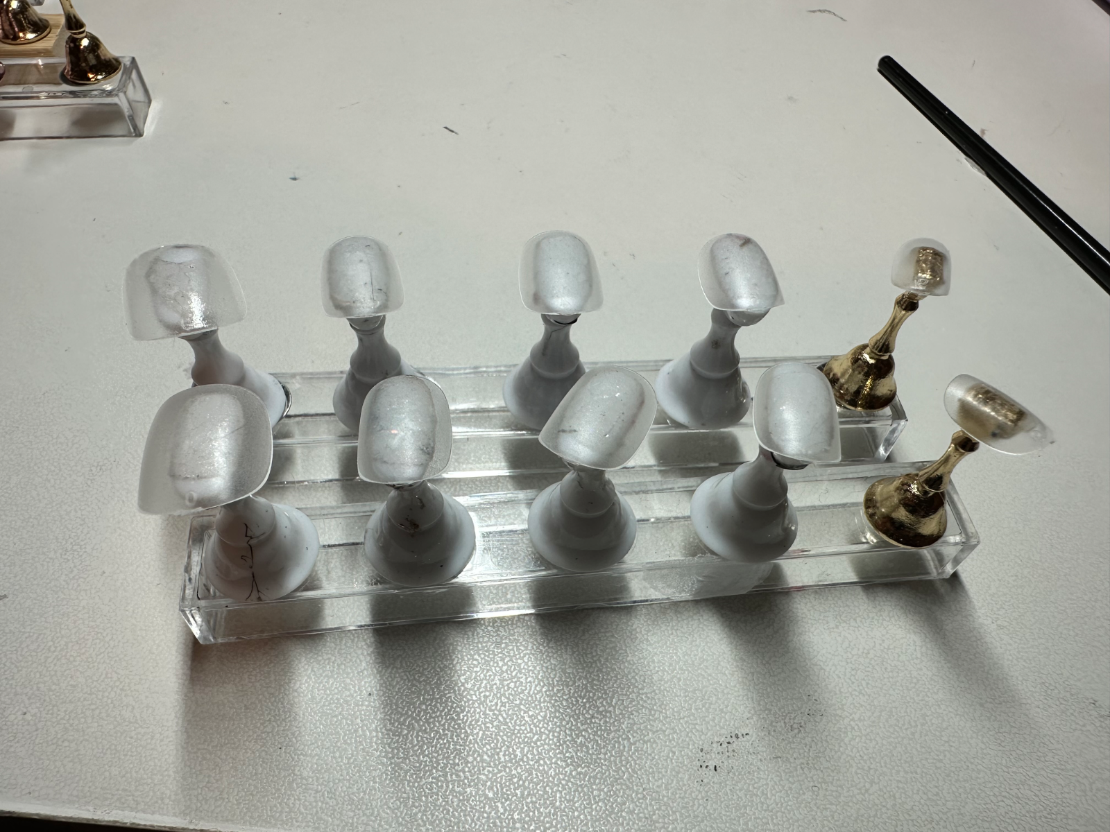 Getting set up to paint leaves! :)